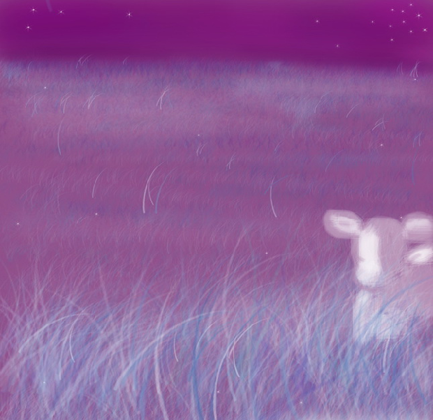 A white calf standing in tall lavender grass under the stars